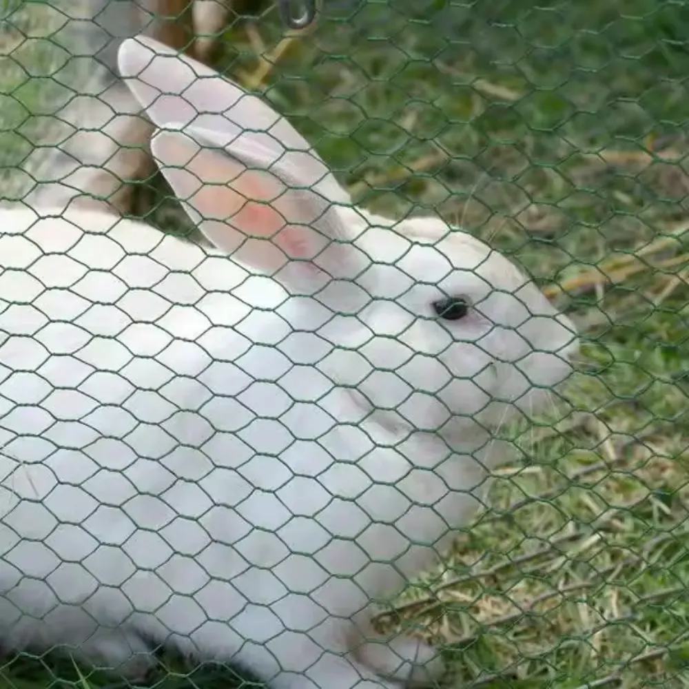 The Ultimate Guide to Poultry Netting Solutions