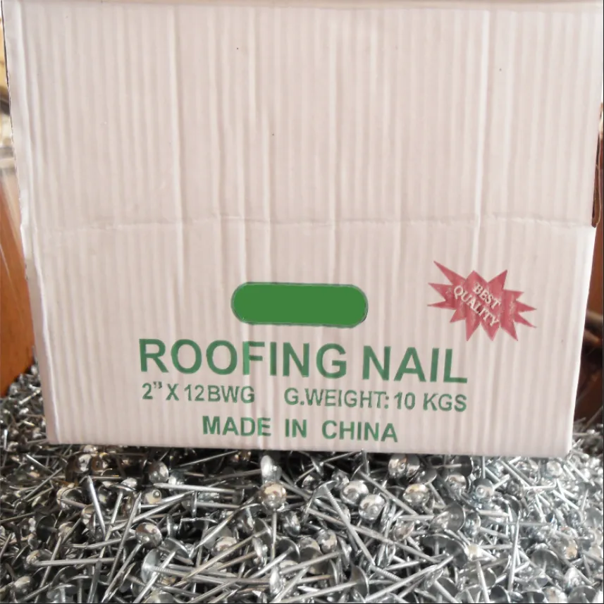 The Essential Guide to Common Nails