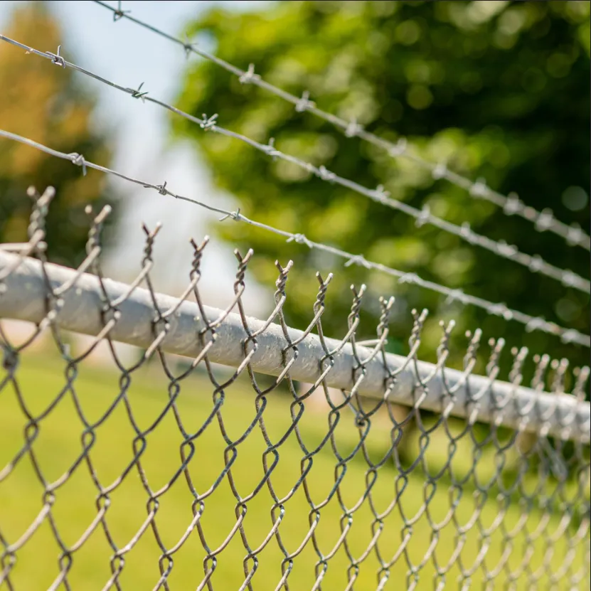Creative Uses of Wire Netting Fence in Modern Landscape Design