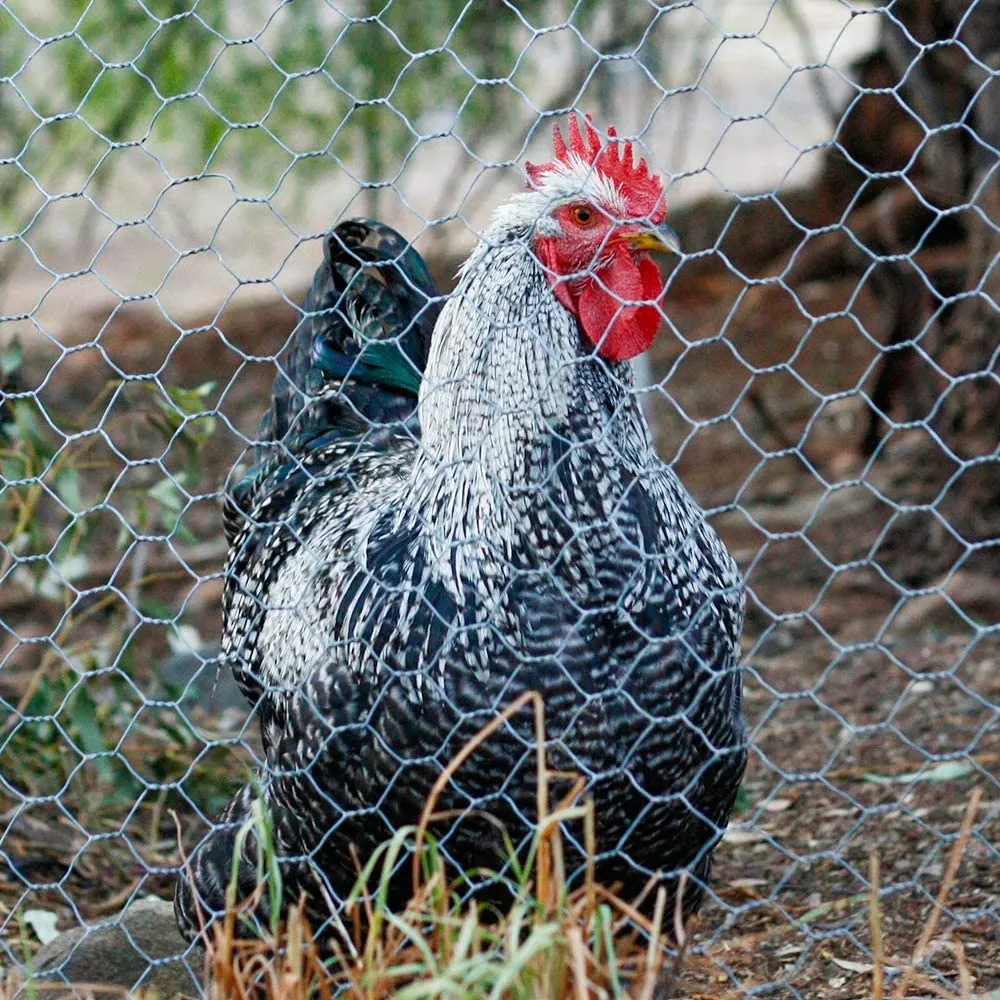Barbed Wire Fence Innovations in Anti-Climb Technology