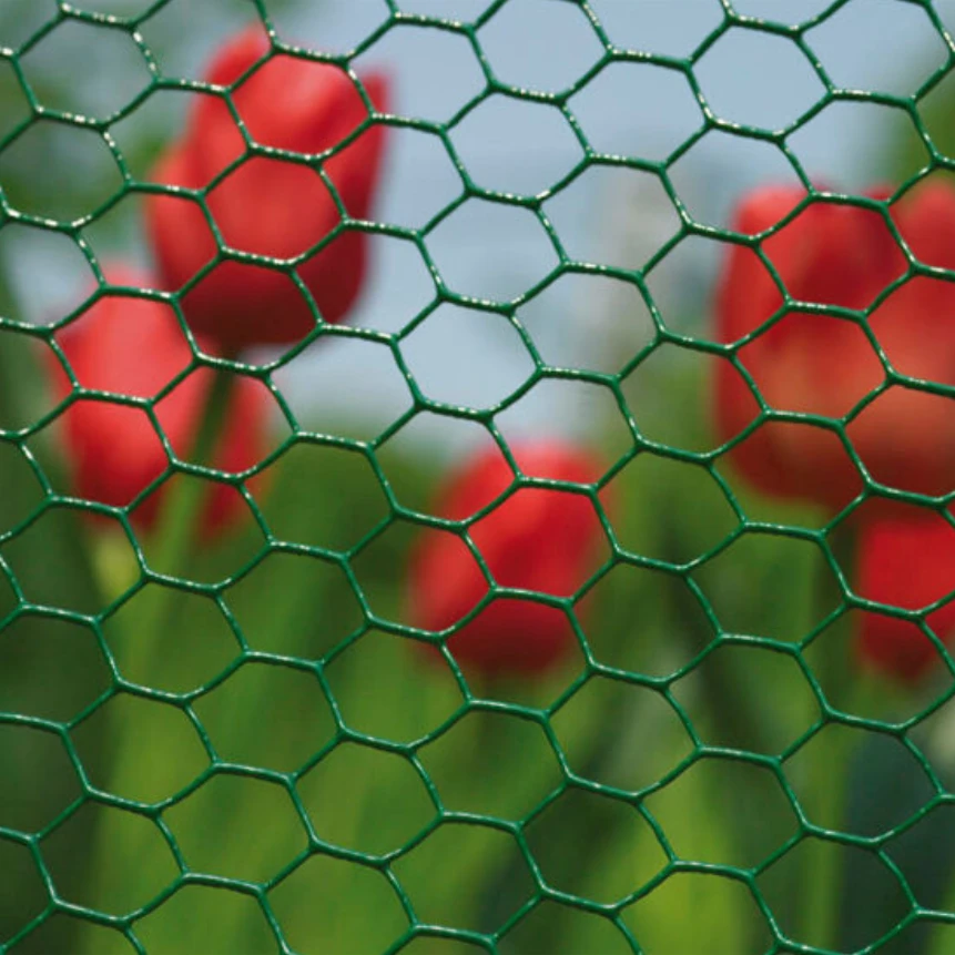 Chicken Wire Garden Fence