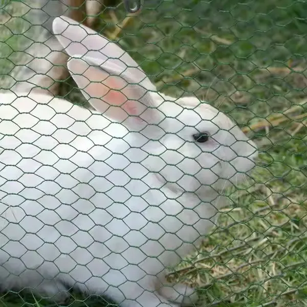 Chicken Wire Garden Fence