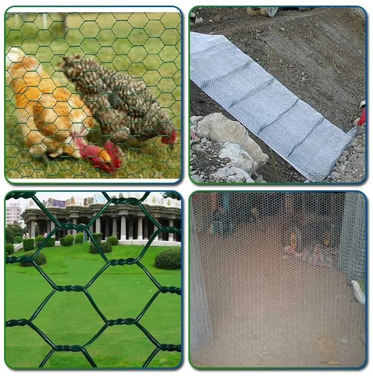 Chicken Wire Garden Fence