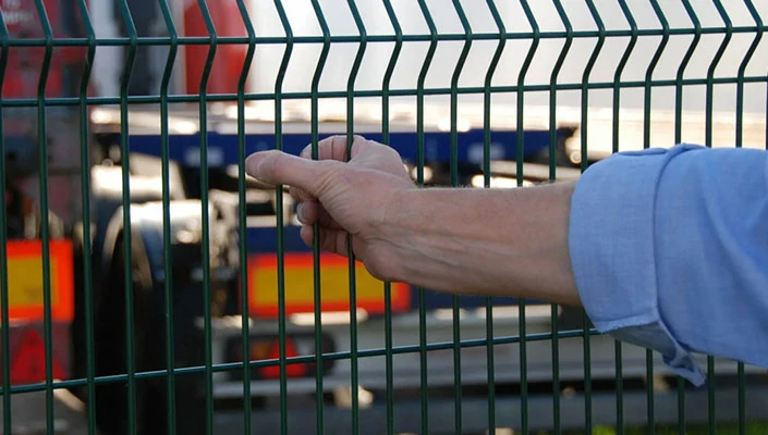 Galvanized Welded Wire Mesh Panels for Durable and Versatile Applications