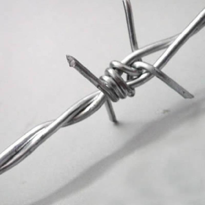 Creating Effective Wire Netting Solutions for Supporting Healthy Plant Growth and Protection