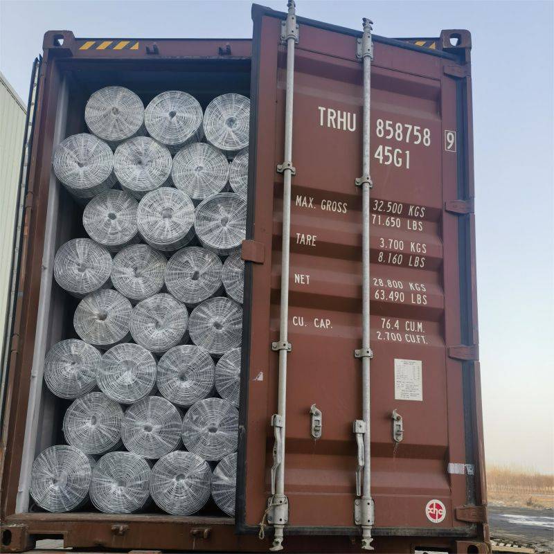 hot dipped galvanized welded wire mesh