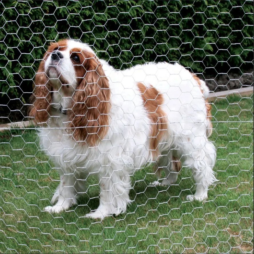 The Art of Hardware Cloth Stylish Garden Defenses with Chicken Mesh