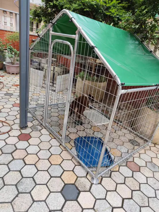 Applications Of Welded Wire Mesh Panels In Animal Enclosures