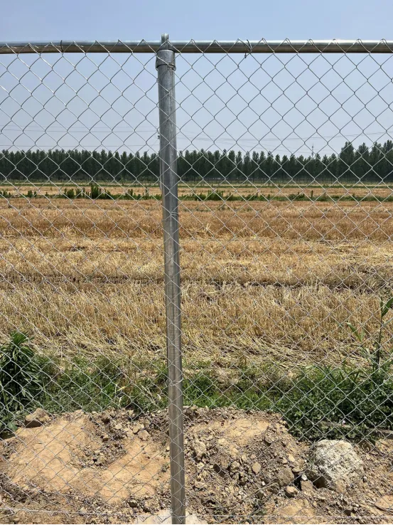 Chain Link Fence For Highway & Railway Protection: Ensuring Safety And Preventing Intrusions