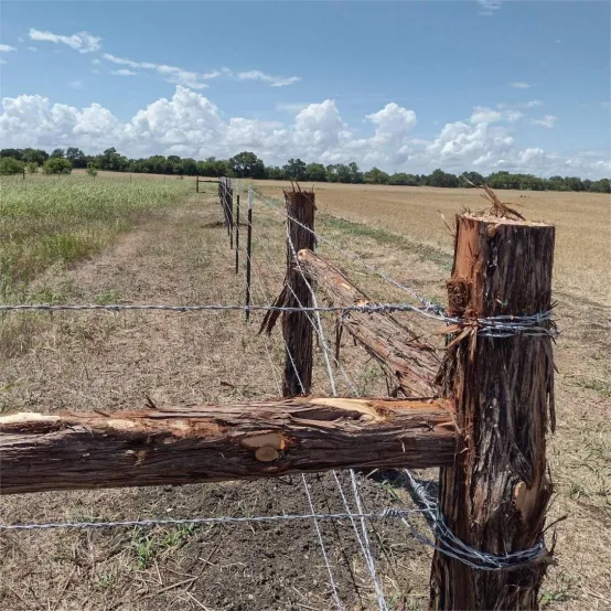 Barbed Wire In Agricultural Fencing: Reliable Protection For Your Livestock