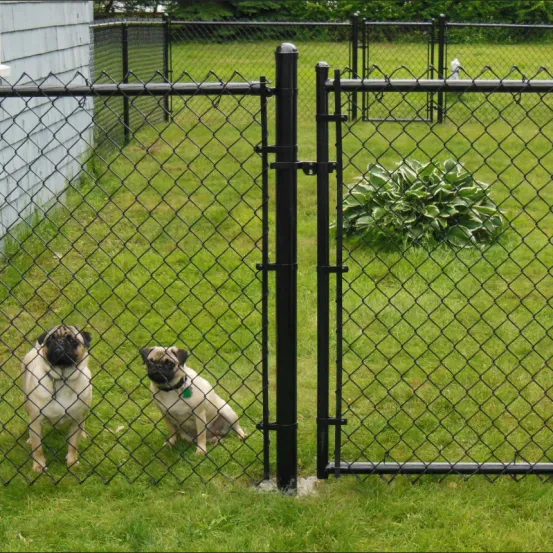Chain Link Fence For Animal Enclosures: Secure, Durable, And Safe Containment Solutions