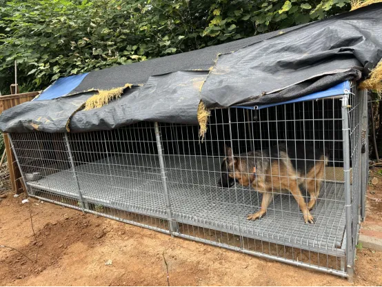 Applications Of Welded Wire Mesh Panels In Animal Enclosures