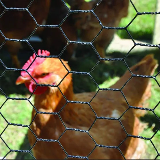 Hexagonal Wire Mesh For Agricultural Use: Protecting Crops And Preventing Small Animal Intrusion
