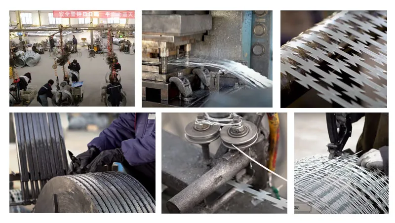 Unrivaled Strength and Adaptability: Why Hexagonal Wire Mesh is Redefining Structural Fencing