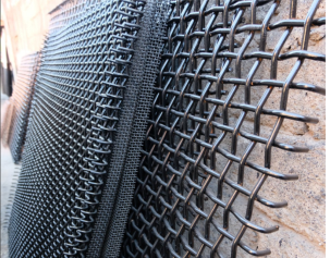 Innovative Bird Enclosures for Enhanced Aesthetic and Security in Aviary Design