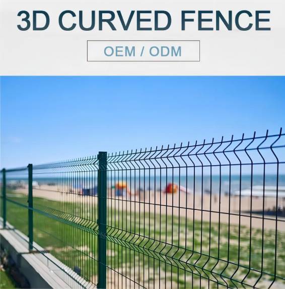 Creative Avian Enclosure Solutions for Safe and Stylish Bird Keeping in Your Backyard