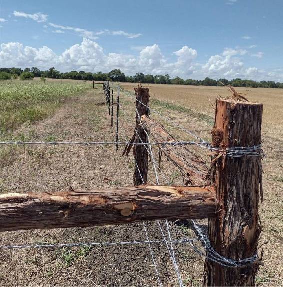 chicken mesh wire for sale