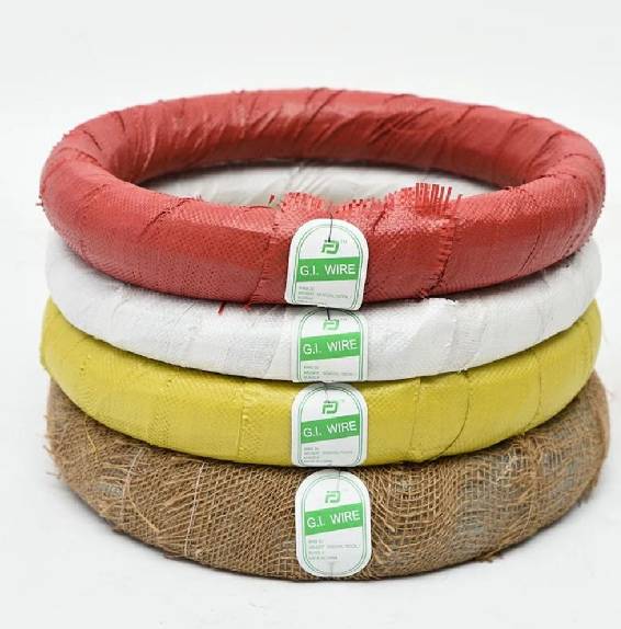 China's Cyclone Fencing Strategies for Enhanced Disaster Resilience and Public Safety