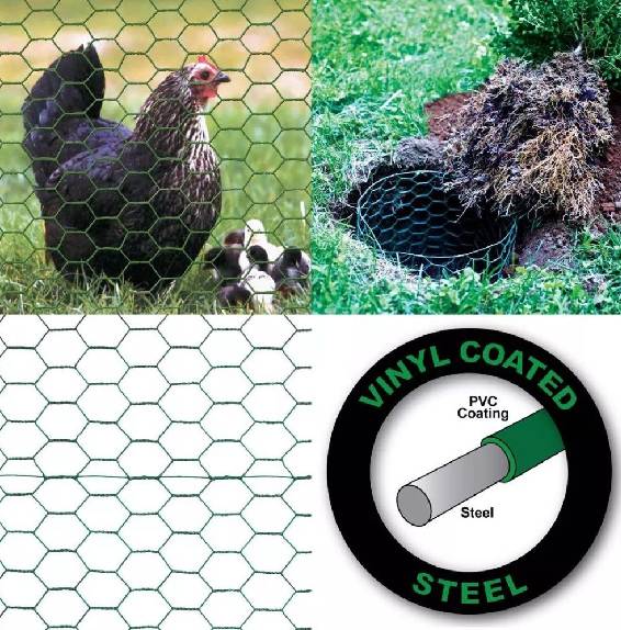 black chain link fence cost