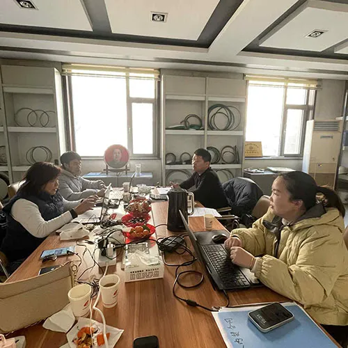 Long-Term Philippine Client Visited Our Factory for On-Site Communication Long-Term Philippine Client Visited Our Factory for On-Site Communication