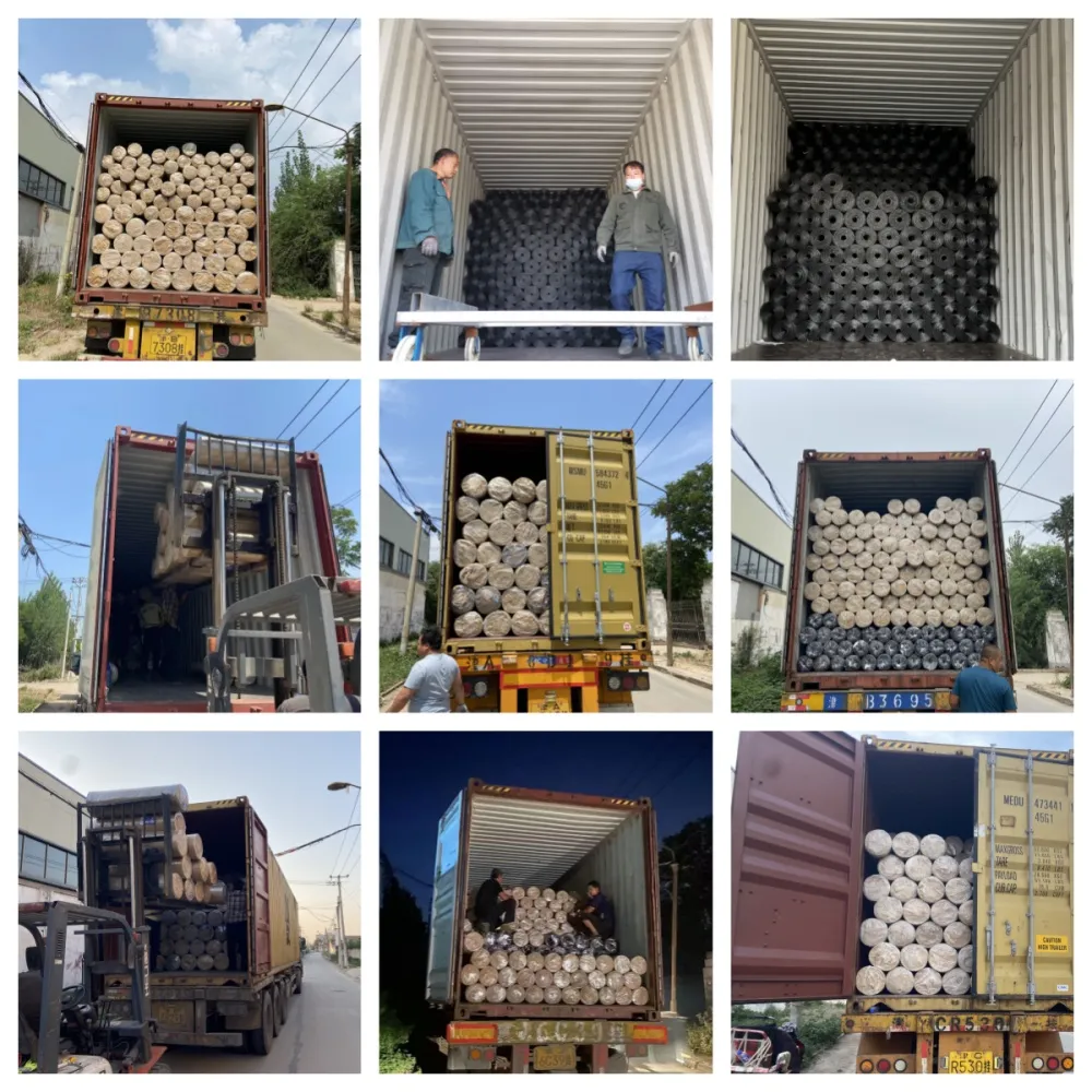 Why Common Nails Remain the Backbone of Modern Construction