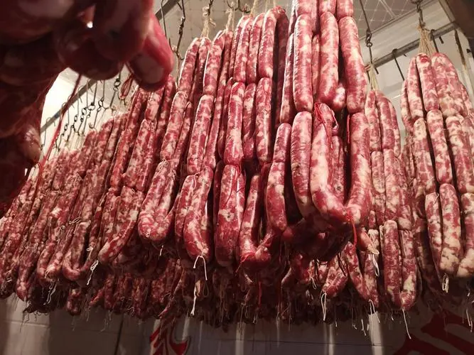 hamburger processing equipment pricelist