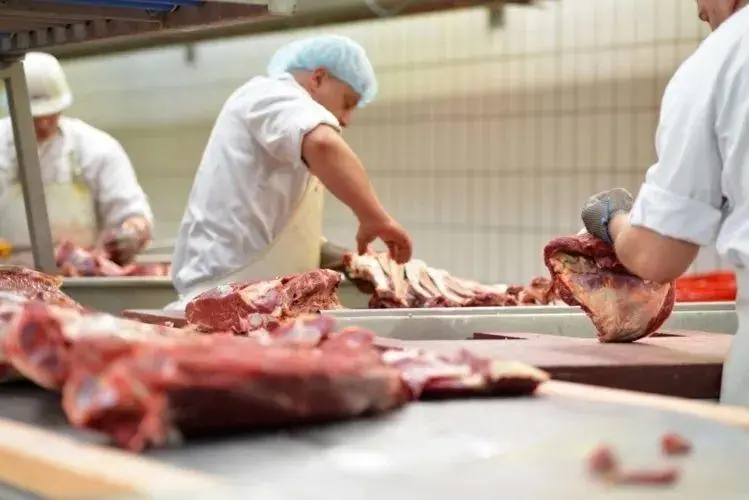 meat rolling machine