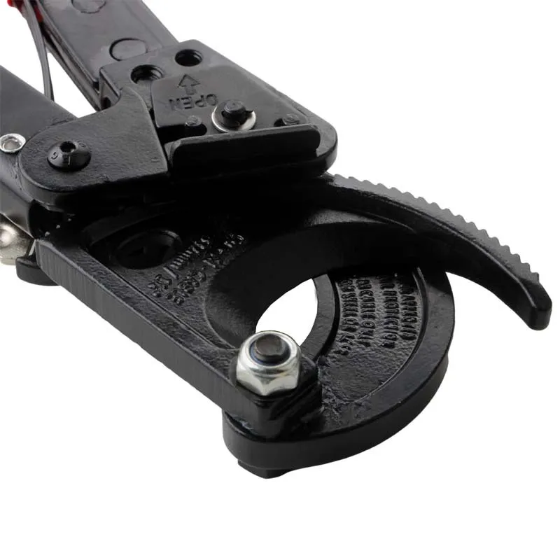 การตั้งค่าดินแดนสู่การพัฒนาอย่างยั่งยืน