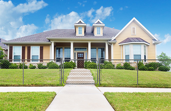 come along lever hoist