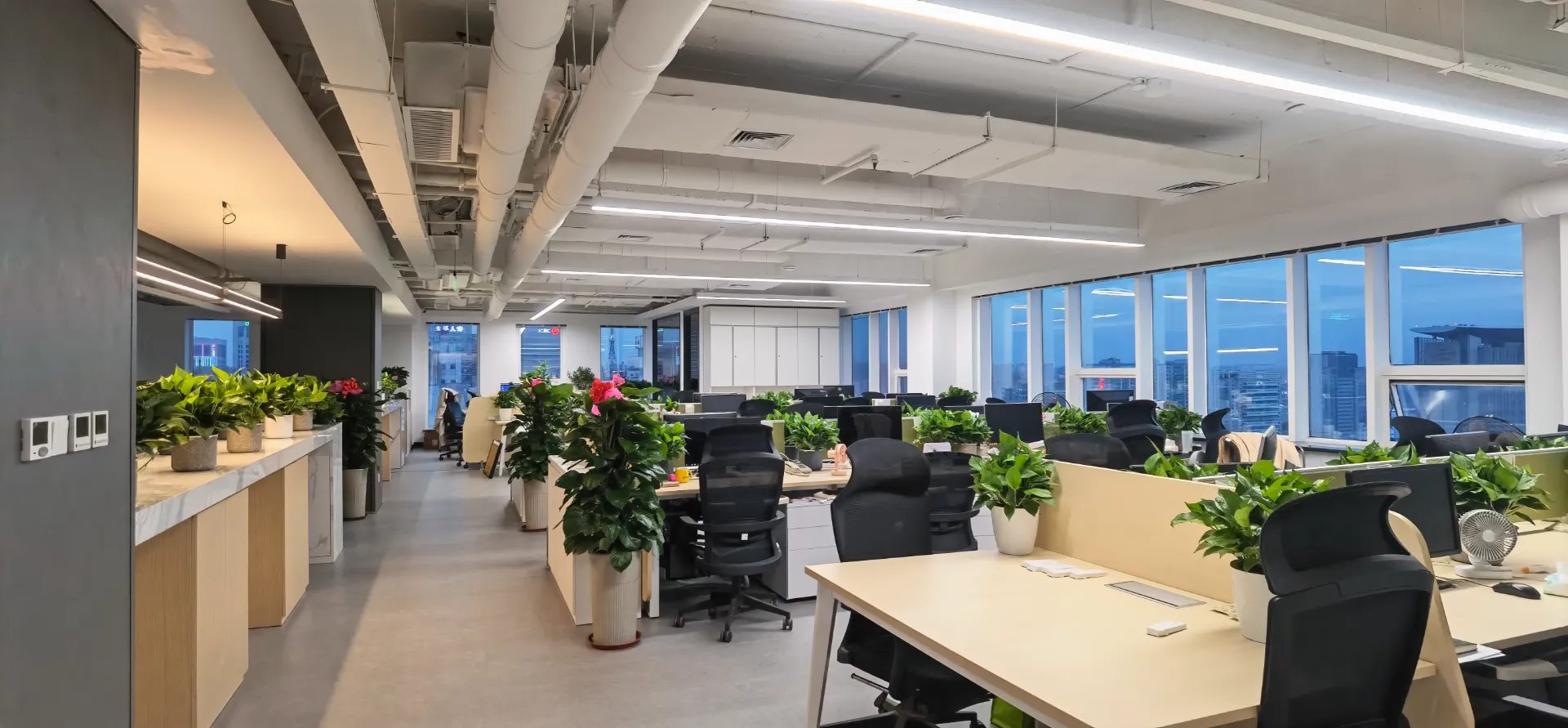 Creative Wayfinding Solutions for Effective Navigation and Communication