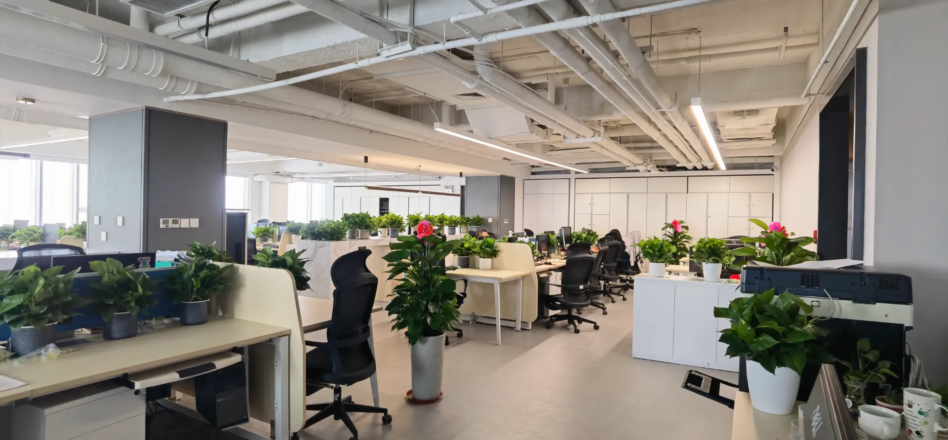 Optimizing Retail Space with Effective Shop Fixtures for Enhanced Customer Experience