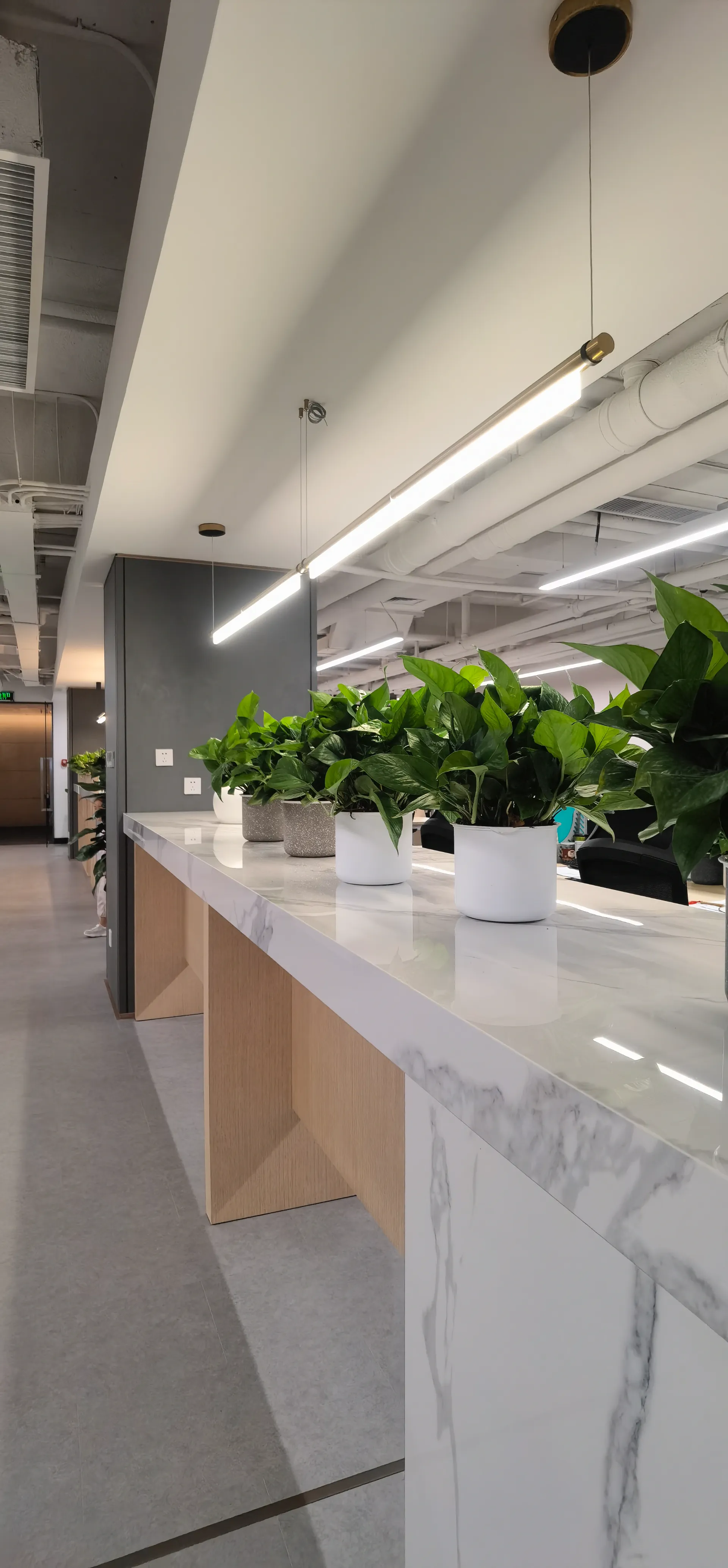 glass showcase for shop glass showcase for shop