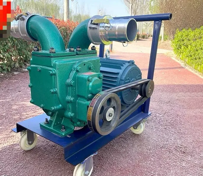 china small slurry pump
