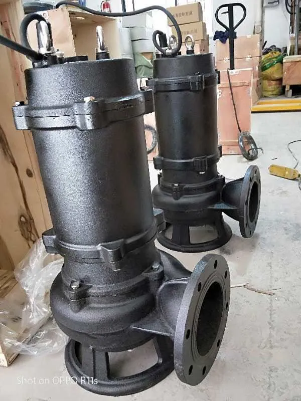 sewage pump system