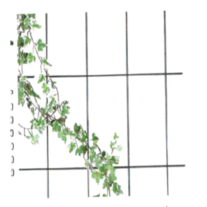 Metal Plant Supports: Essential Structures for Healthy Plant Growth