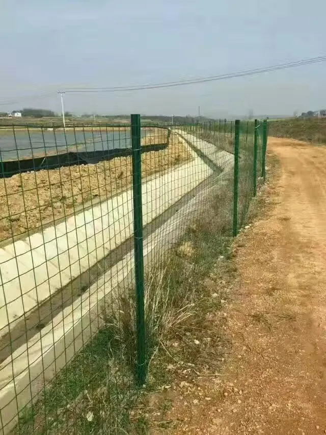 Pvc-Coated Euro-Style Fencing: A Durable Solution That Combines Safety And Beauty