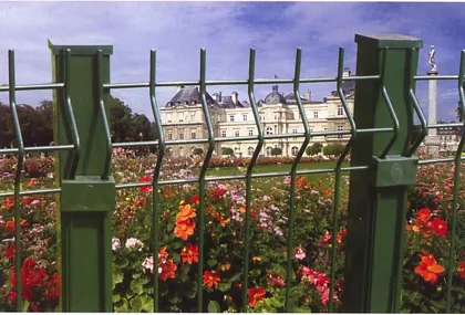 Installation Suggestions and Maintenance of Welded Mesh Fencing