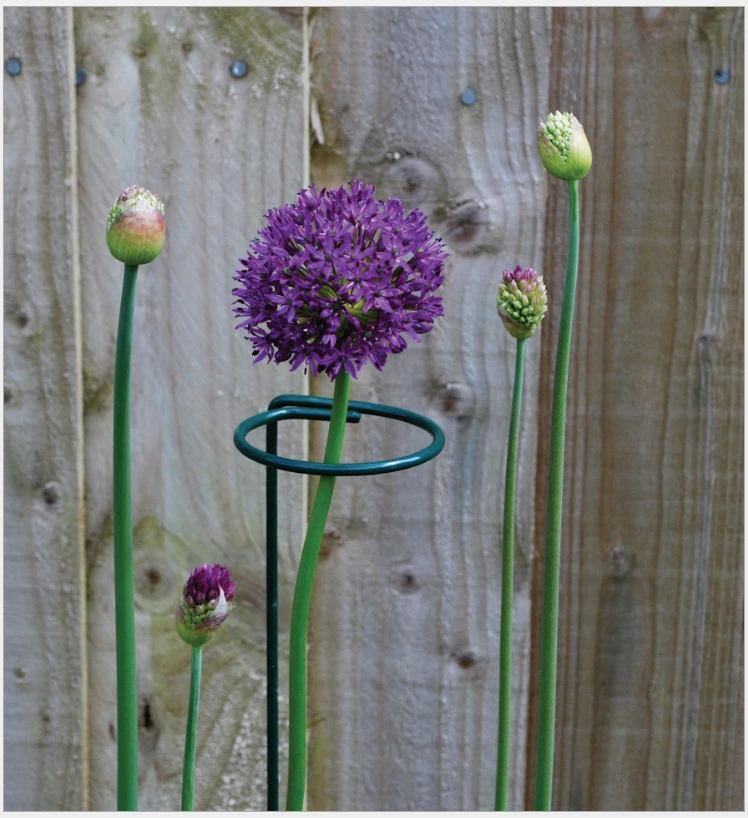 Boost Your Garden’s Growth with Metal Plant Supports