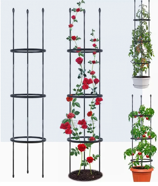 Generating Titles Based on Hex Wire Concepts for Creative Projects Generating Titles Based on Hex Wire Concepts for Creative Projects