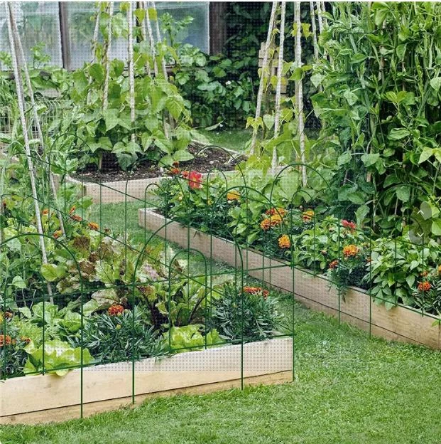 Enhance Your Garden with a Border Fence