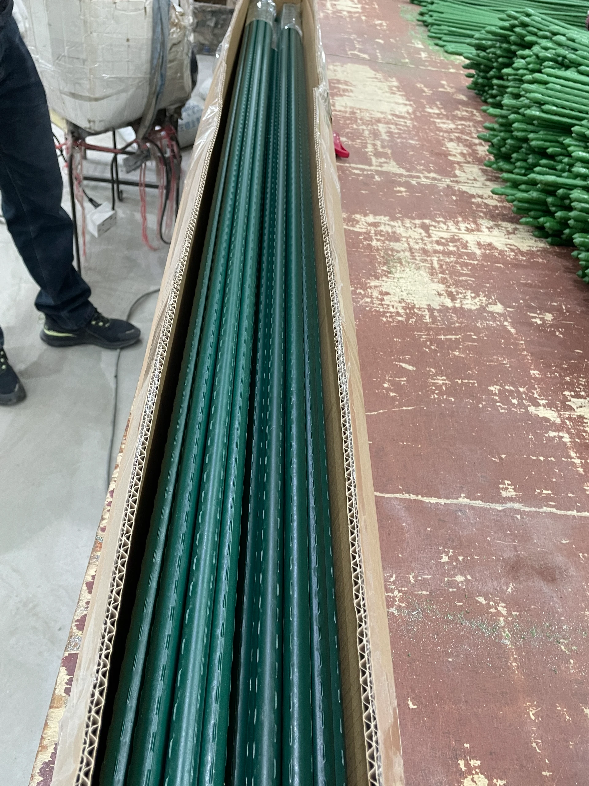 Provide A Reliable Structure For Your Plants To Thrive