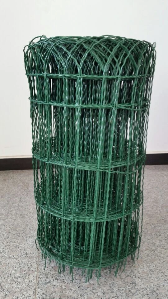 Finding the Right Border Fence