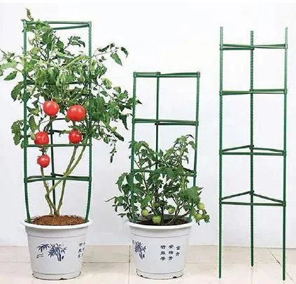 Boost Your Garden’s Growth with Metal Plant Supports