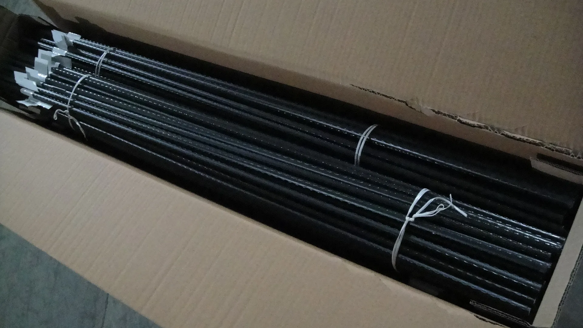 Best Iron Plant Supports