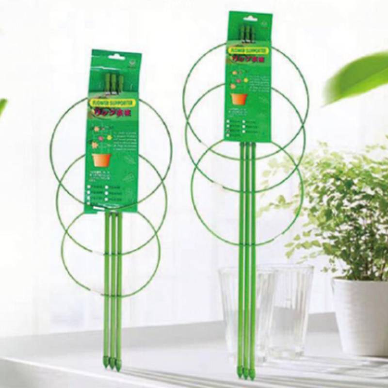 tomatoes outgrowing stakes