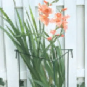 roll top fence panels for sale