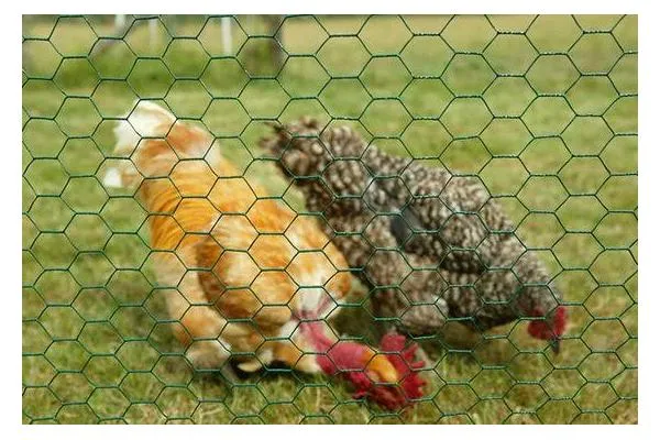 Introduction to Hex Wire Fencing