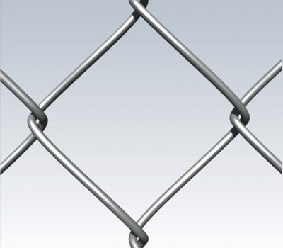 Approximately 6 feet of chicken wire for fencing and garden protection requirements.