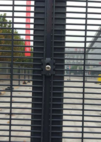 Explore Top Options for Purchasing Plant Supports Online