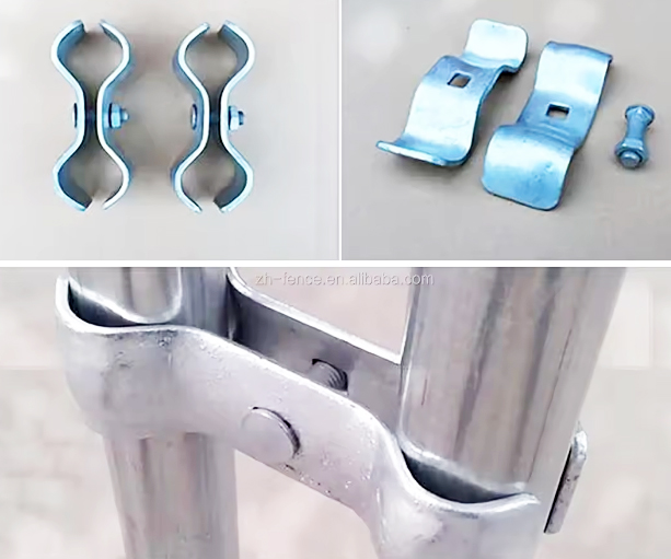 Exploring the Benefits of Passion Flower for Natural Support and Wellness